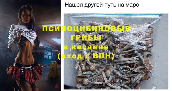 хмурый Нягань