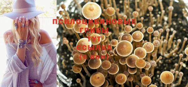 не бодяженный Няндома