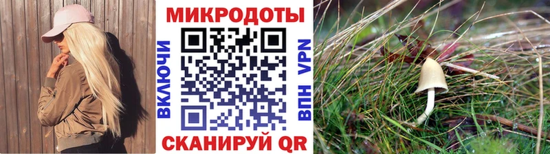 Псилоцибиновые грибы мицелий  Полевской 