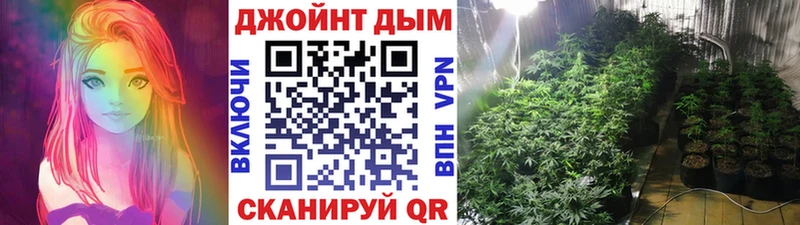 площадка формула  Полевской  Конопля SATIVA & INDICA 